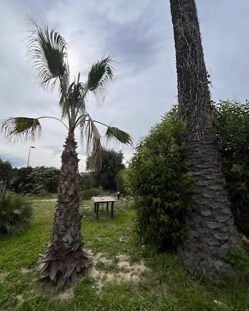 Bel Dans Maison Cannes